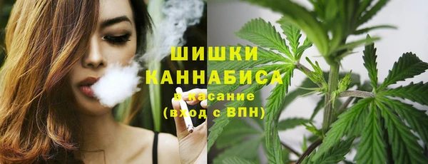 spice Инсар