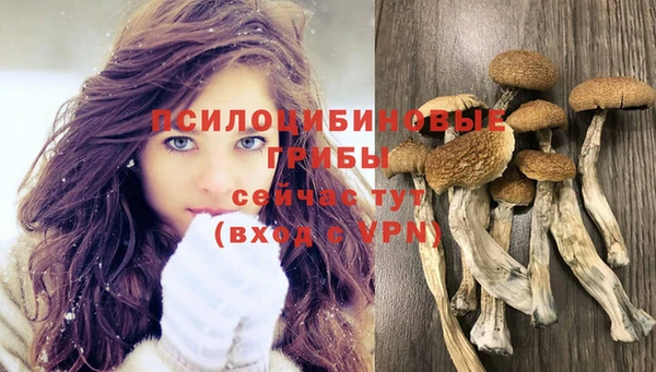 spice Иннополис