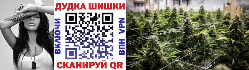 Каннабис план  Купить закладки  Котельнич 